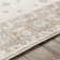 Pierpoint Oriental Indoor Rug