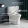 1.1/1.6 GPF Dual-Flush Elongated One-Piece Toilet with 17.32" ADA Comfort Seat Height, Ceramic Glazed Surface(Soft Close Seat Included), 3 Colors
