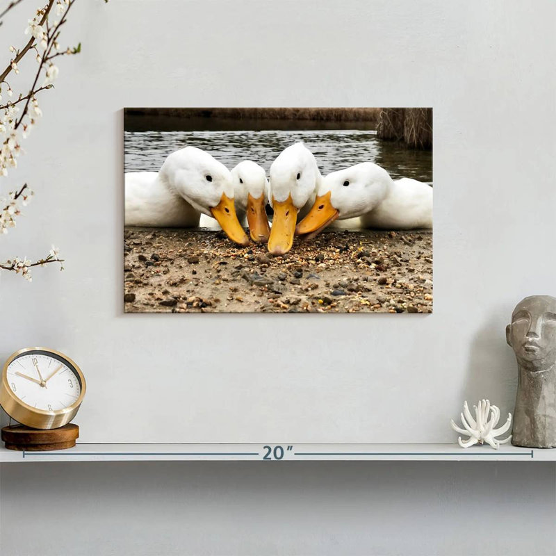 Pekin Ducks de Brampt, H 8 po x l 12 po
