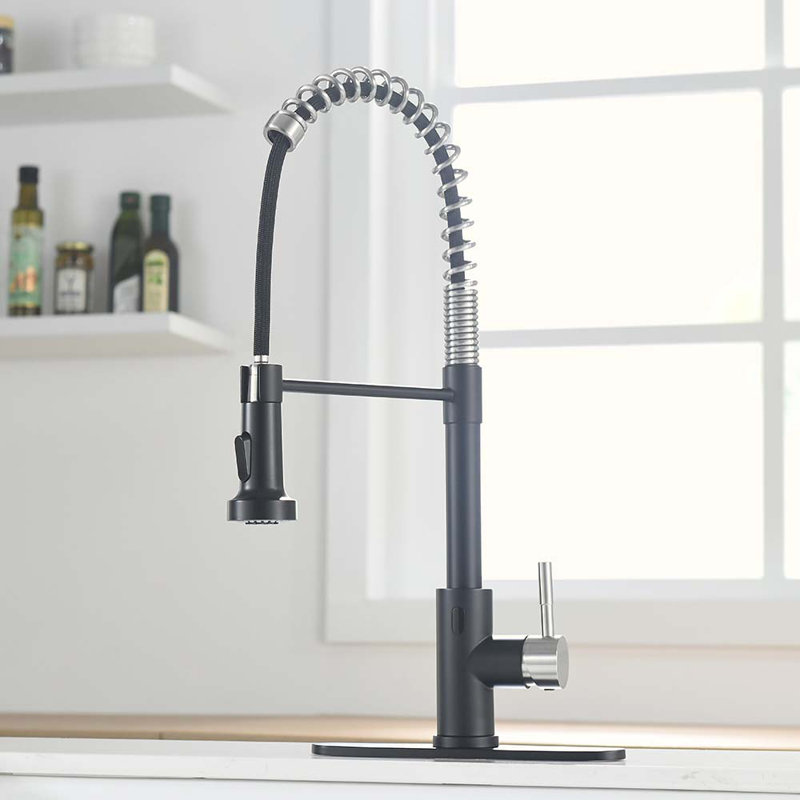 Robinets de cuisine, Argent / noir mat