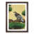 Walnut Framed