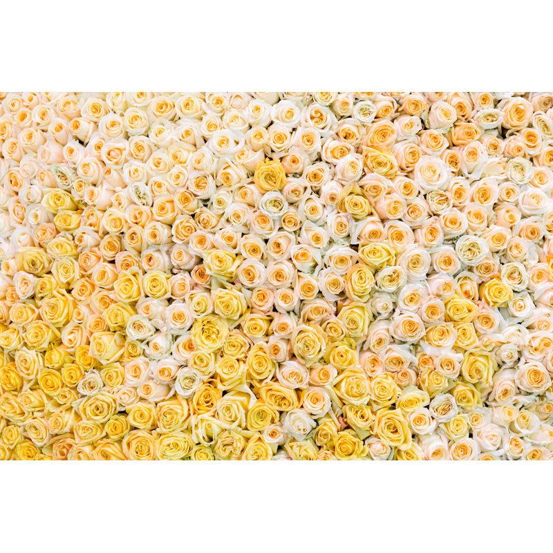 White And Yellow Roses by Victor Labzin - Wrapped Canvas Print, 30cm H x 46cm W x 3.8cm D