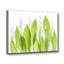 « lilly of the valley », reproduction de photo sur toile-29772112