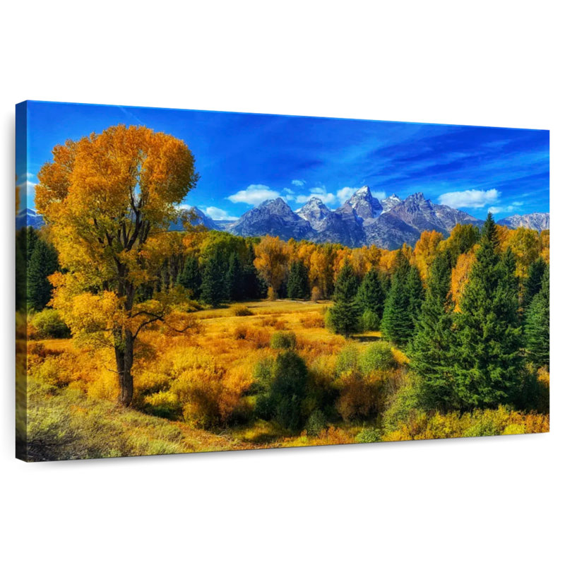 Alvord Jackson Hole Wyoming en automne, H 8 po x l 12 po
