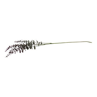 Eucalyptus Spray