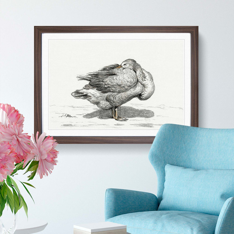 Goose by Jean Bernard - Picture Frame Drawing Print, Walnut Framed, 36cm H x 48cm W x 2cm D