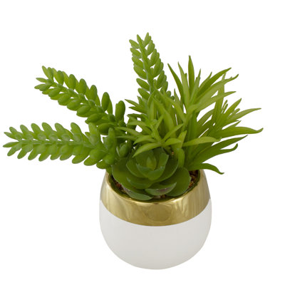 Arrangement succulent artificiel en pot 6,5 po