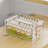 Dumpling Container Refrigerator Storage Box with Transparent Lid Large Capacity Non-Stick Design BPA Free Detachable Food Storage Container-1156466926-1156466927