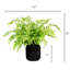 Faux Plant in Ceramic Planter