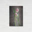 «Spring Tulips VI» par Debra Van Swearingen-1748444088