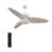 Viara 52'' Ceiling Fan with LED Lights-2027743196