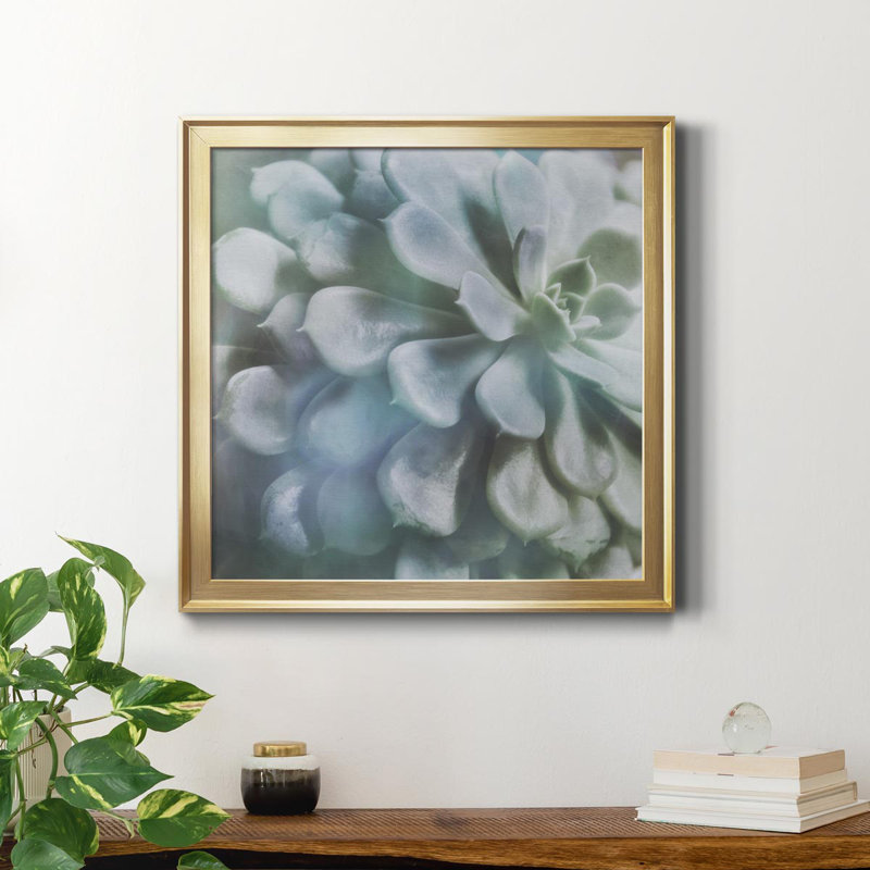 Soft Succulent I - peinture sur toile encadrée, Cadre doré, H 34,5 po x l 34,5 po x P 1,5 po