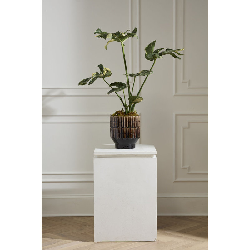 Kasra Pot 9.75"x 11"