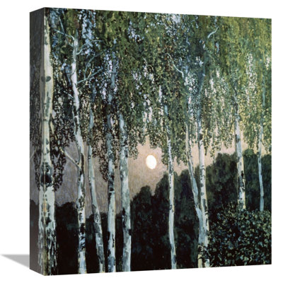 " Birch Trees "