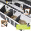 Chicken Coop