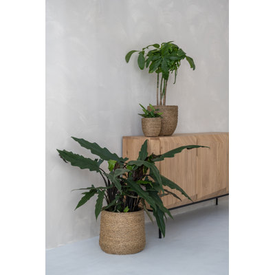 Ardell Handmade Pot Planter