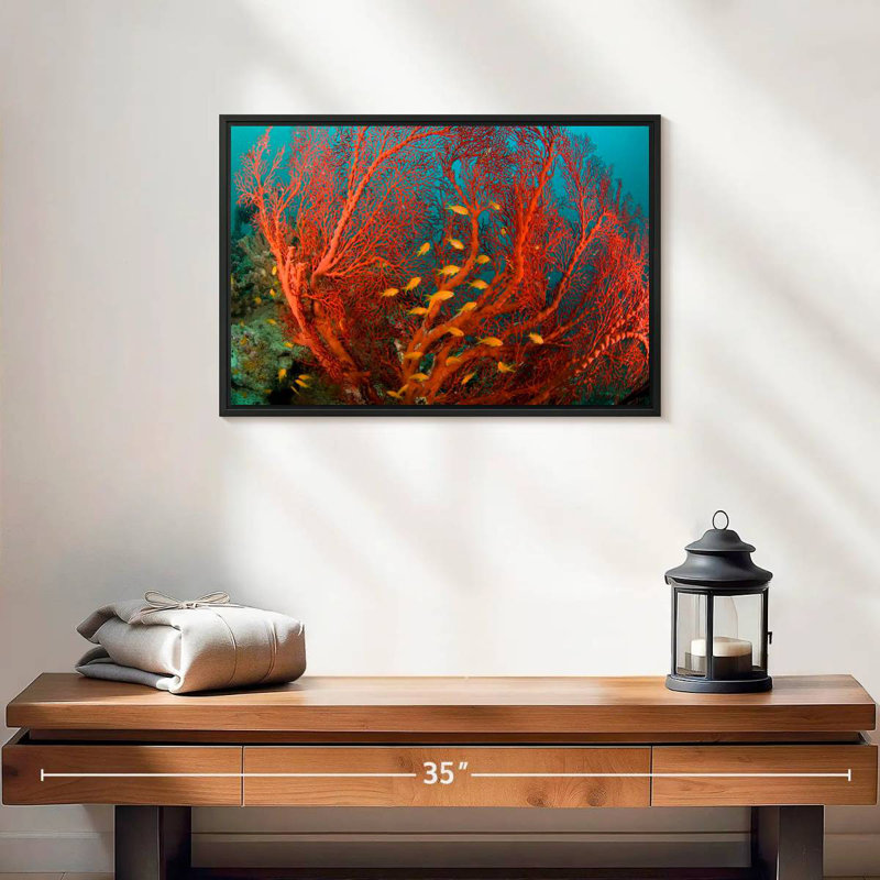 Corail de feu, 19 po x 13 po, Cadre flottant noir