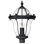 San Clemente Lantern Head