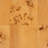 Dynell Modern And Contemporary Natural Real Burl Wood 1-Drawer Nightstand