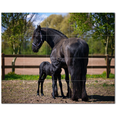 Photo de cheval 12 x 12
