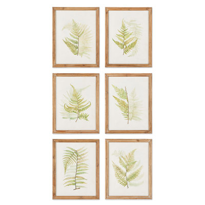 «Fern Study» par Eifa - Ensemble de 6 reproductions d'art sur papier encadrées