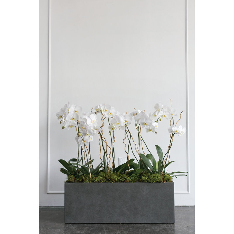 Boîte à fleurs en béton