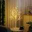 Holiday Lighting