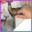 Tapis de bain Forest-821851771
