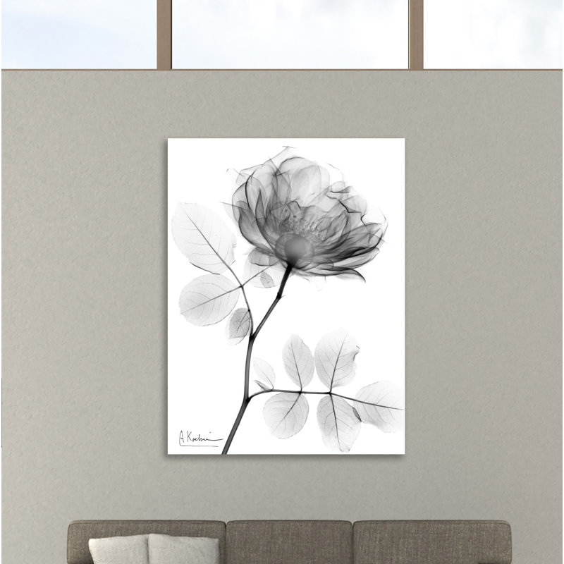 «Rose Dynasty 1», toile tendue par Albert Koetsier, H 20 po x l 15 po x P 1,5 po