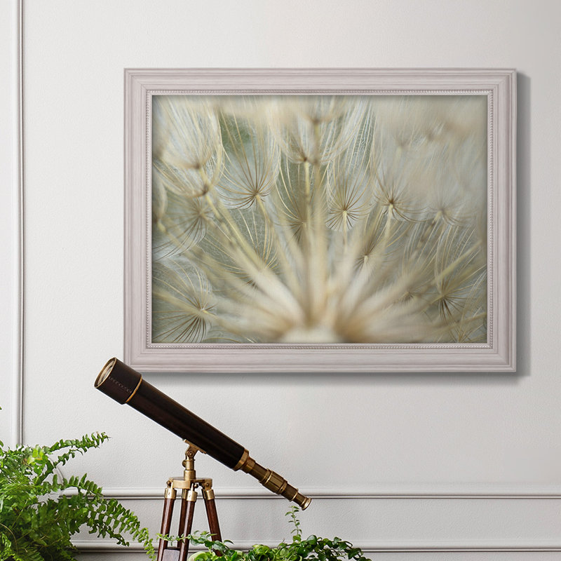 Macro Dandelion IV, photographie sur toile, H 21 po x l 25 po x P 2,5 po, Toile encadrée à coins fermés gris pastel