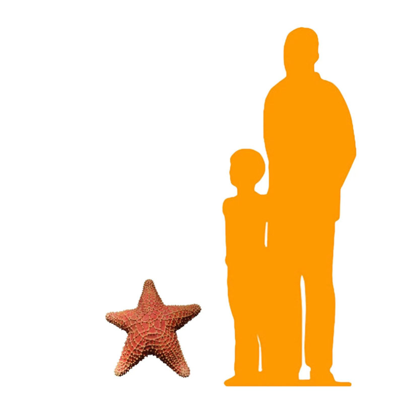 Comic Cushion Starfish Statue
