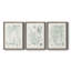 Verdure Ferns VII - ensemble de 3 peintures sur toile encadrées-1899046576-1899046542