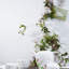 Brillance Bone China Teacup