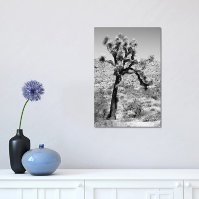 Joshua Trees Desert II by Philippe Hugonnard - Wrapped Canvas Print