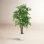 71" Ficus Tree in Planter