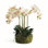 Stiles Handmade Light Pink Orchid with Root Ball
