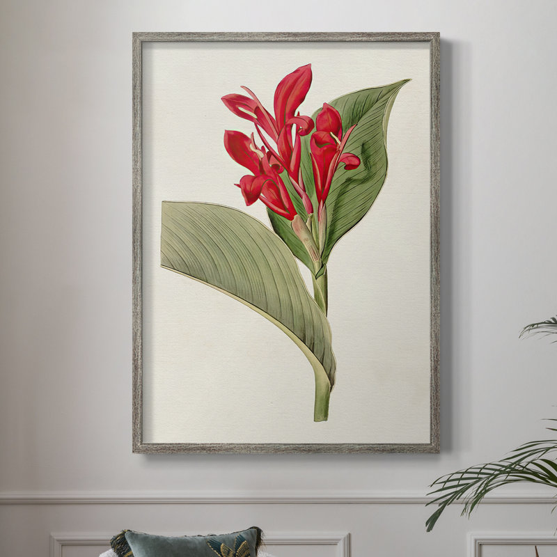 FloraOfTheTropicsIV Framed Print - Solid Wood, 11" H x 9" W