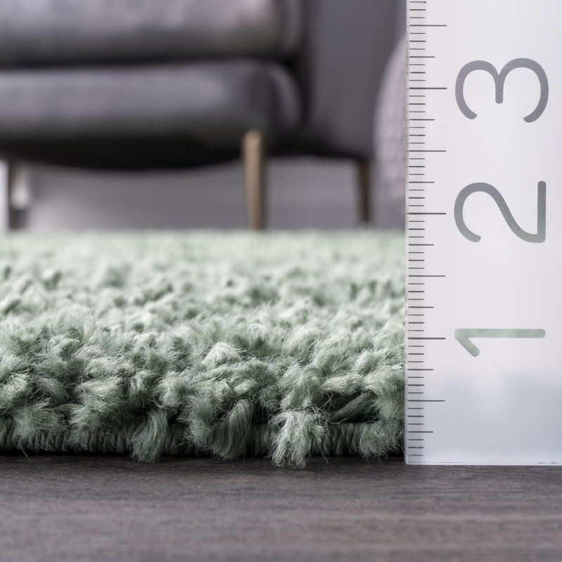 Abbiney Performance Shag Green Rug, Rectangle 2' x 3'