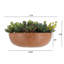 Composition de fausses plantes succulentes CG Hunter de 28 cm dans un pot rond en terre cuite - Décoration botanique réaliste