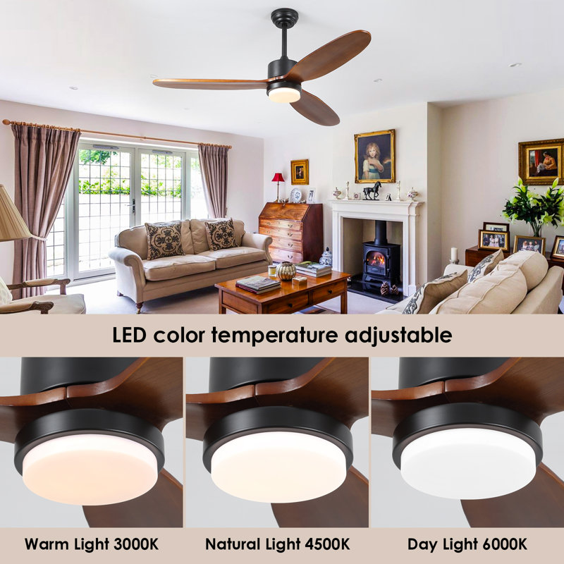Wrought Studio™ Ceiling Fan With Light