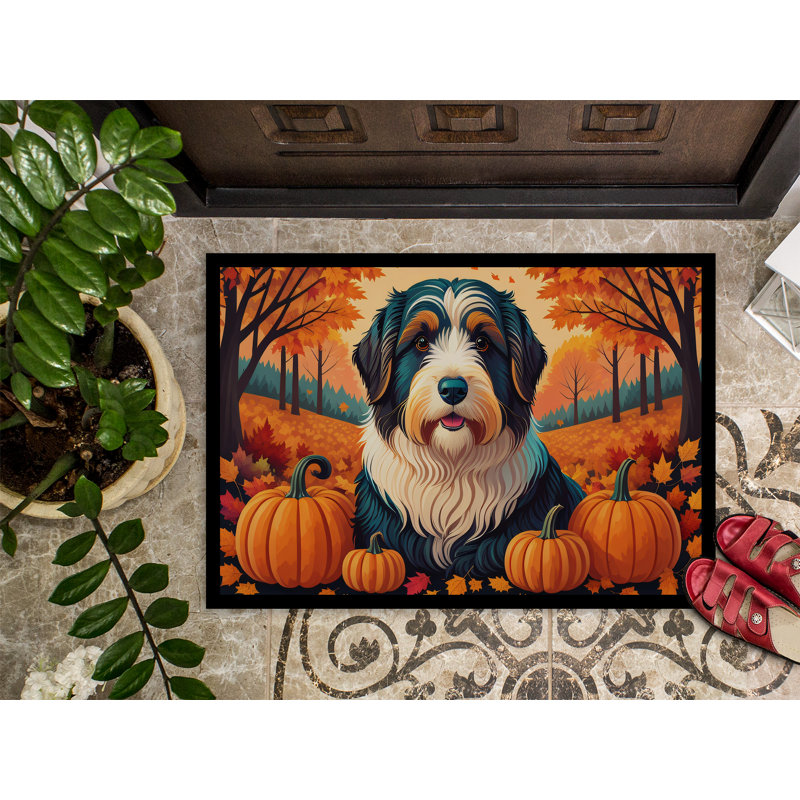 Tapis de porte extérieur antidérapant Oakleigh, L 18 po x L 27 po