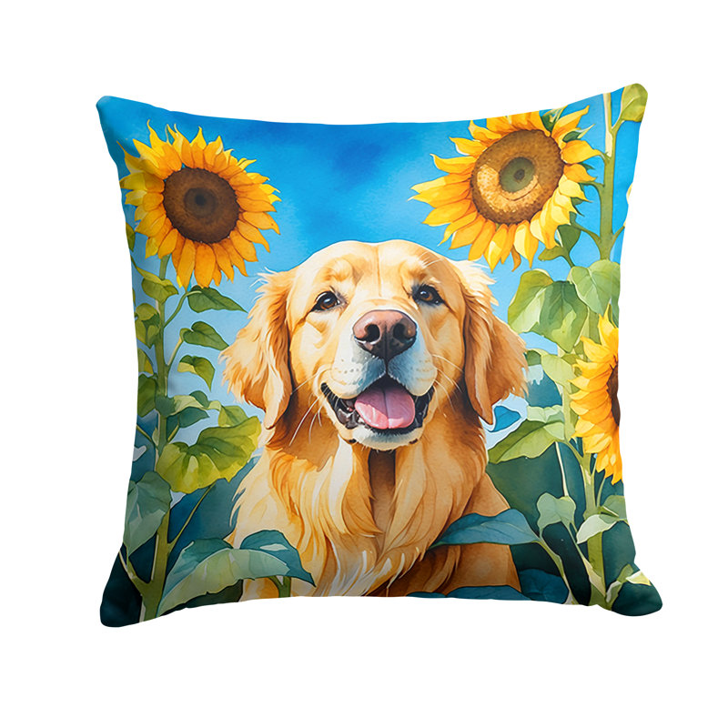Other/No Pattern Outdoor Throw Pillow, 18" H x 18" W
