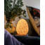 La lampe marguerite melon-125499959