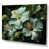 Toile tendue