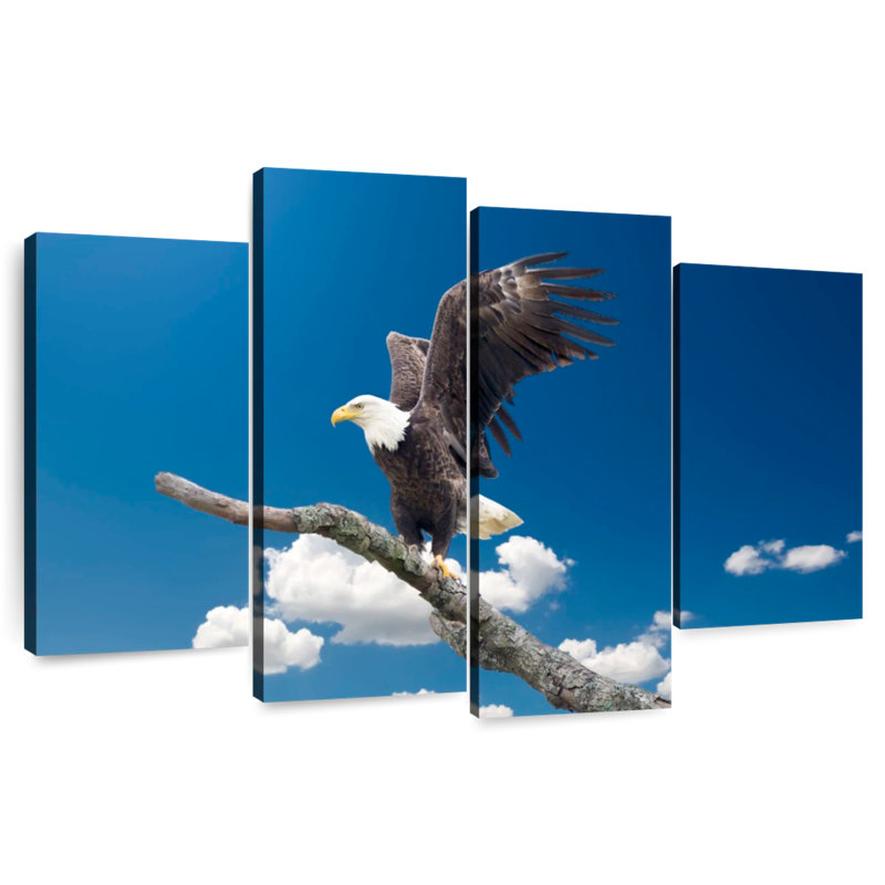 Brampt Majestic Texas Bald Eagle