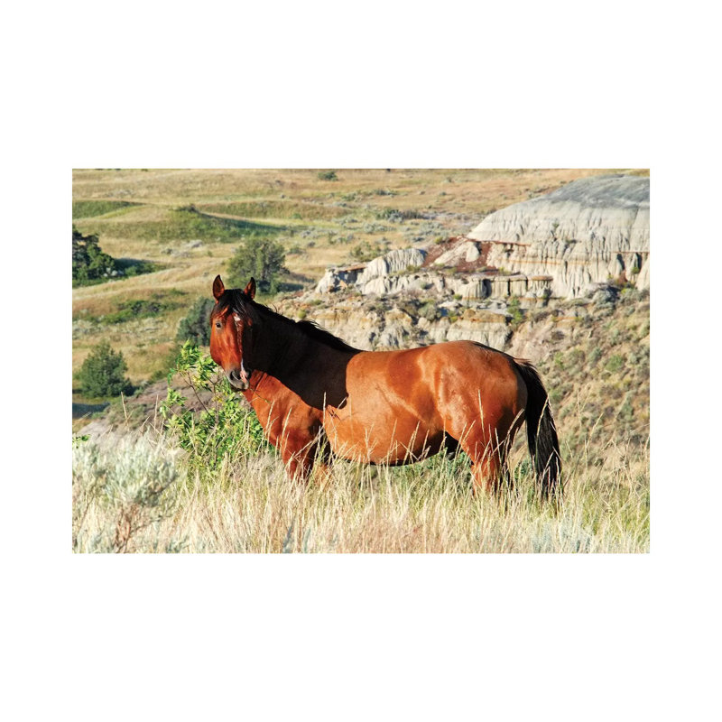 Wild Stallion par Brian Wolf - photographie sur toile tendue, H 8 po x l 12 po x P 0,75 po
