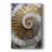 Plaster Dreams III -Gallery Wrapped Cavas-1700334647