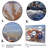 Crab Beachcombers II - Crab Framed Art-729640266-638514737