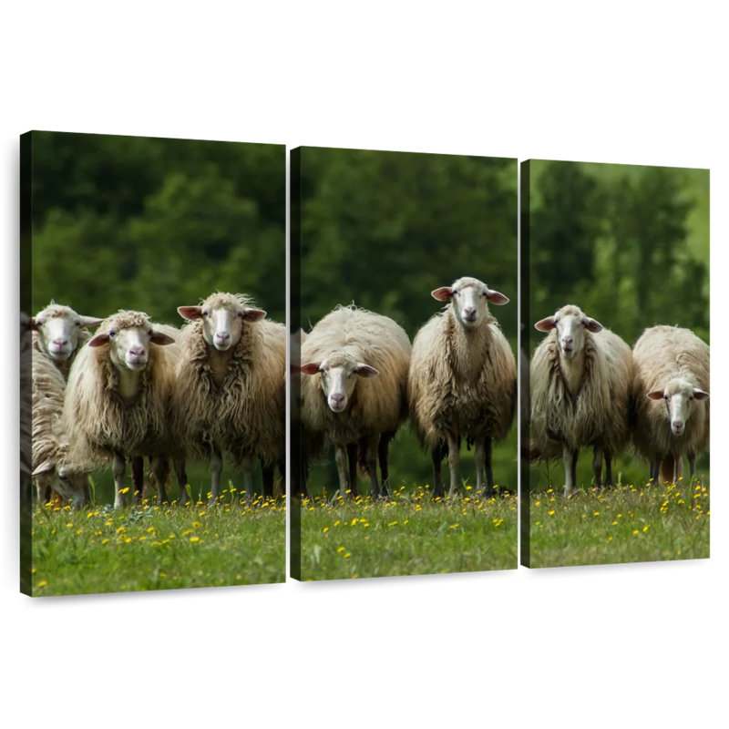 Brampt Tuscany Sheep, 32" H x 50" W