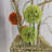 Conaway 51.18'' Rattan Tree Floor Lamp with Outlet